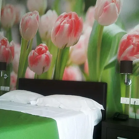 Hotel Acquadolce 3* Peschiera del Garda